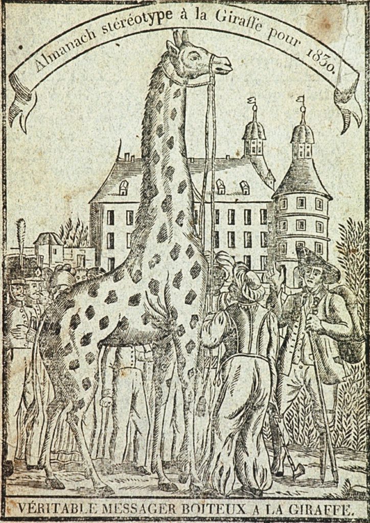 Girafomania